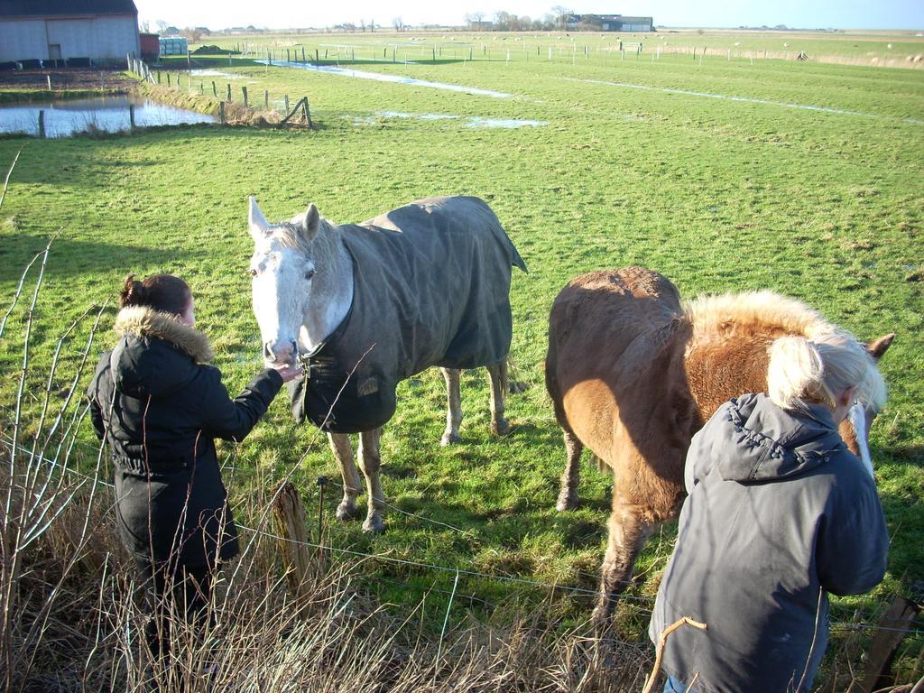 Wiesenblick Pellworm Exteriér fotografie